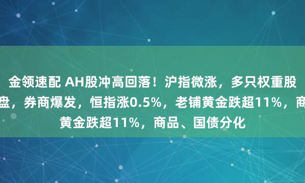 金領(lǐng)速配 AH股沖高回落！滬指微漲，多只權(quán)重股尾盤競(jìng)價(jià)遭拋盤，券商爆發(fā)，恒指漲0.5%，老鋪黃金跌超11%，商品、國(guó)債分化